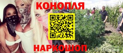 эйфоретик Донецк